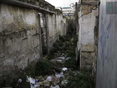 L'interno di un cortile abbandonato divenuto regno di gatti, rifiuti e mura pericolanti